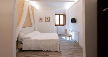 LC41 Suites
