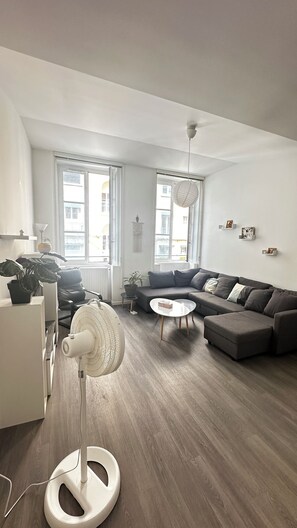 Living area - Solo:apartment for Daily or Weekly Rent Apartment for Rent in the Heart of Lyon (Lyon)