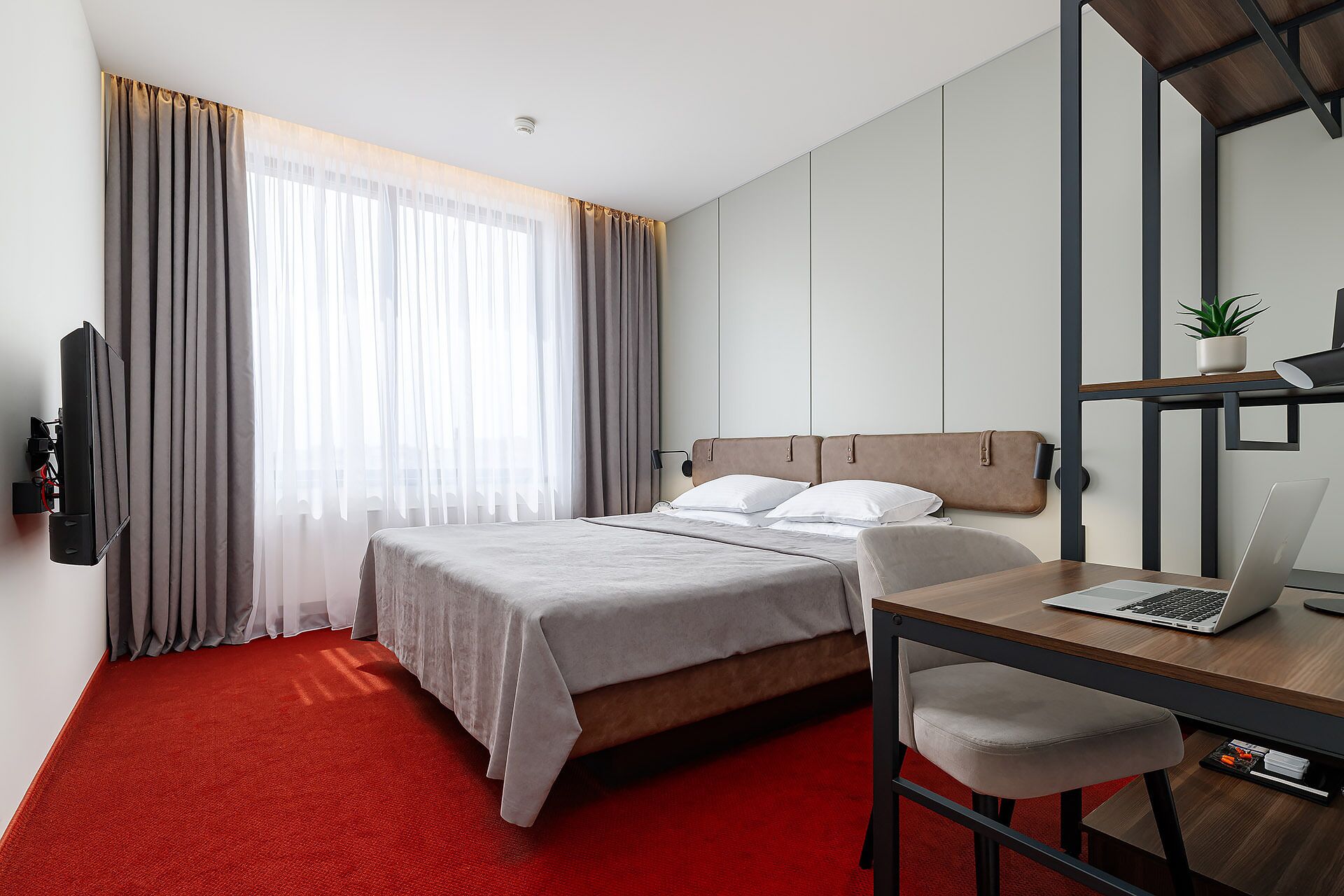 Una habitación de hotel con una cama, un escritorio con una computadora portátil, una silla, un televisor y una planta.