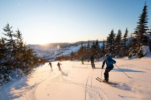 Skidåkning