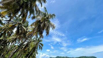 Beach nearby, sun loungers, beach towels