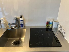 Una encimera de cocina con un lavamanos de acero inoxidable, una placa de inducción negra y varios utensilios de cocina, incluyendo una botella de detergente, un pulverizador de limpieza y saleros y pimenteros.