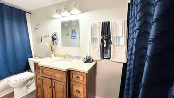 Shower, hair dryer, toilet paper