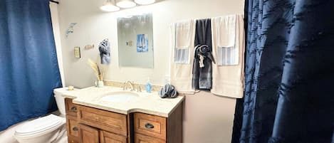 Shower, hair dryer, toilet paper