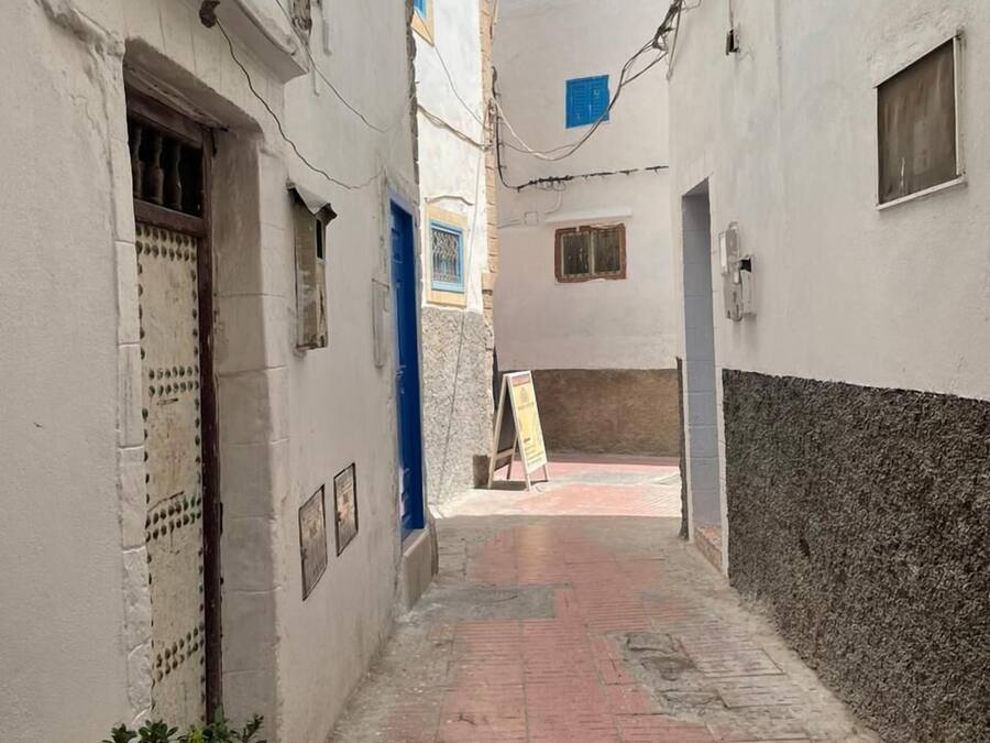 A narrow alleyway with a brick pathway, white walls, and a small plant.