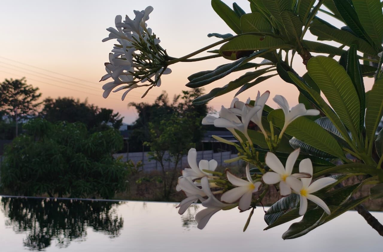 A serene outdoor scene with a body of water reflecting the sky and surrounding foliage.
