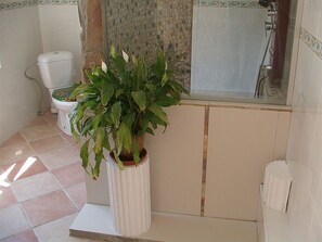 Une salle de bain avec des toilettes, une douche et une plante en pot.