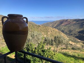 Vista dalla struttura