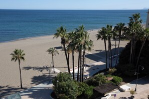 A beach with palm trees and a clear view of the ocean. - Hotel Mediterraneo by Croma (Estepona)
