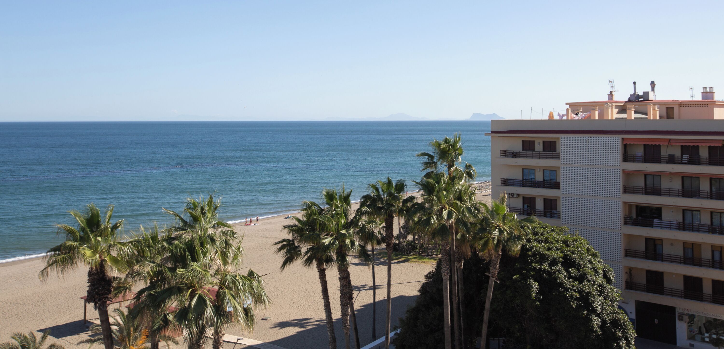 Vista de una playa con palmeras y un edificio con balcones.