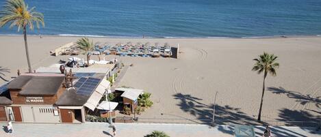 A beachside hotel with a patio area, palm trees, and a view of the ocean.