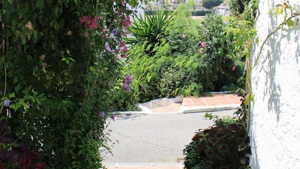 A narrow pathway flanked by lush greenery and flowering plants leading to a residential area with houses and a clear sky. - Apartamento Paco Romo (Nerja)