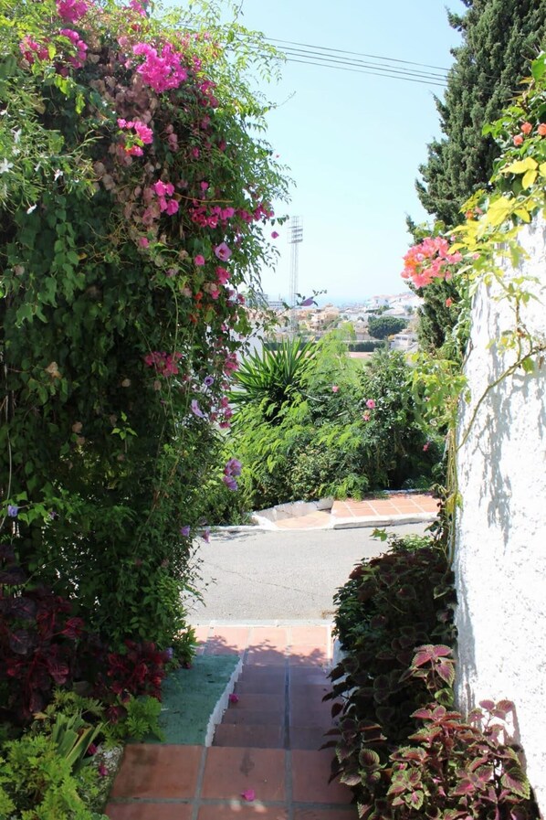 Apartment | Property grounds - Apartamento Paco Romo (Nerja)