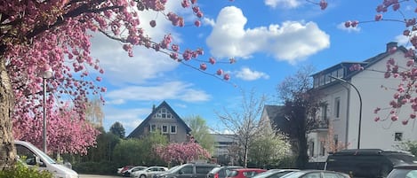 المنطقة المحيطة بالمنشأة