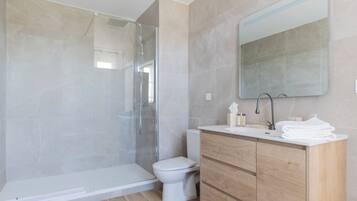 A modern bathroom with a glass-enclosed shower, a toilet, and a vanity with a mirror.