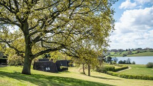 A large tree in a grassy area with a view of a lake and distant buildings. - Rutland Hall Lakeside Lodges (Oakham)