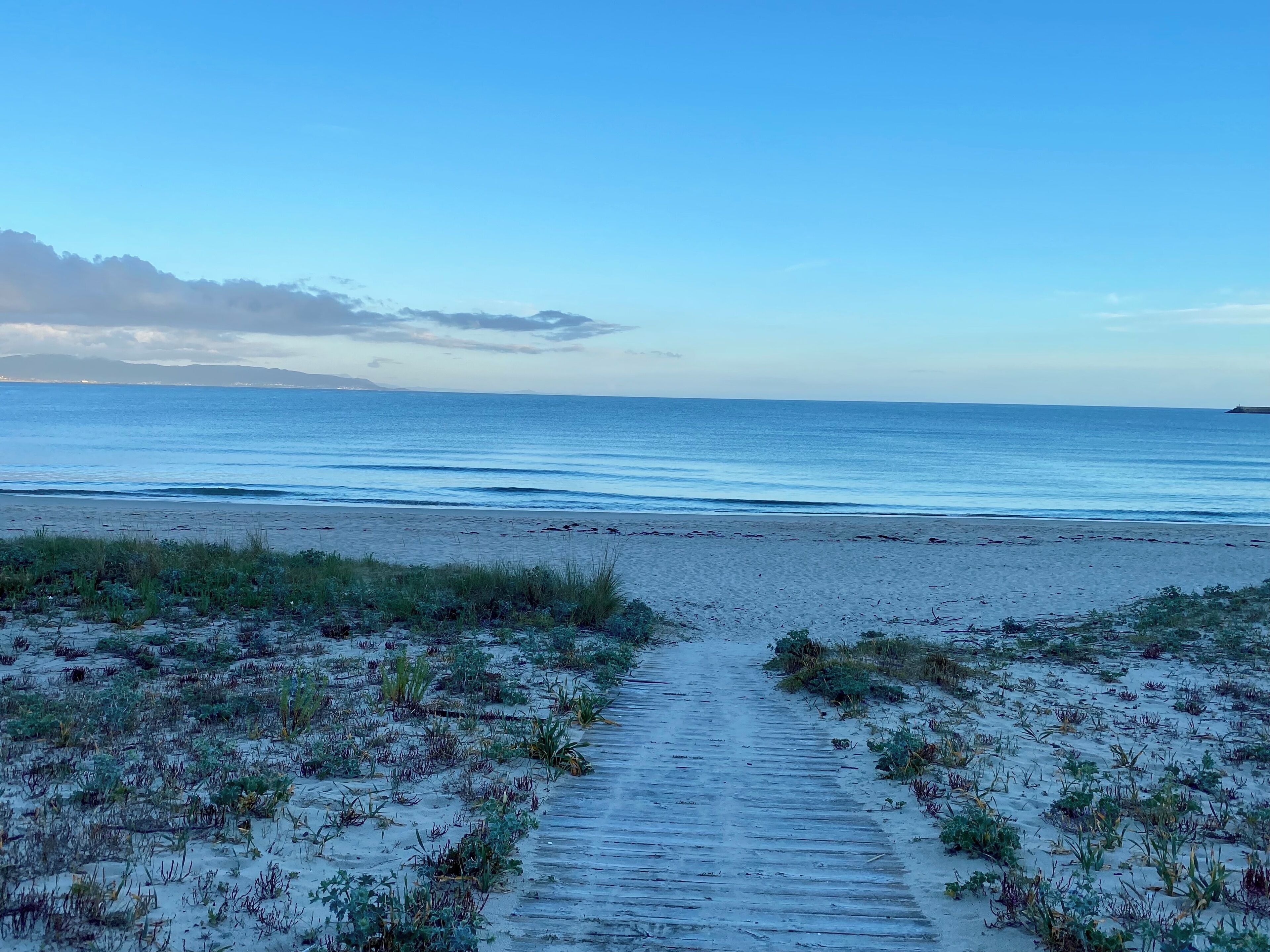 A beach path leading to the ocean with a clear sky.