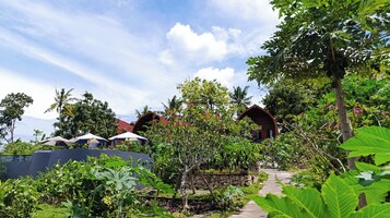 Vista al jardín