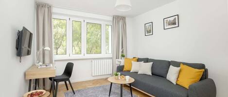 Fernseher, Arbeitsbereiche