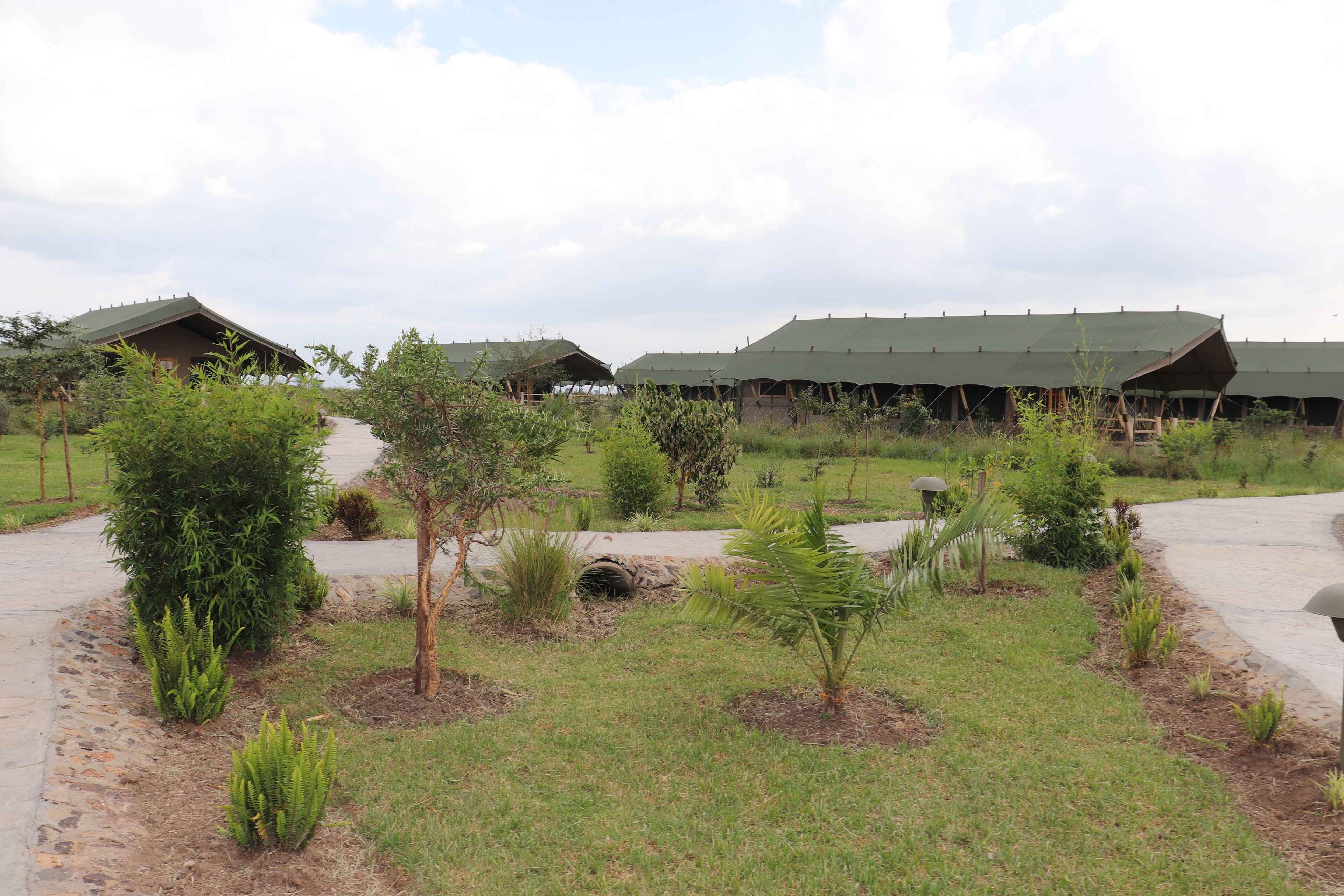 A building with a green roof and a paved walkway.