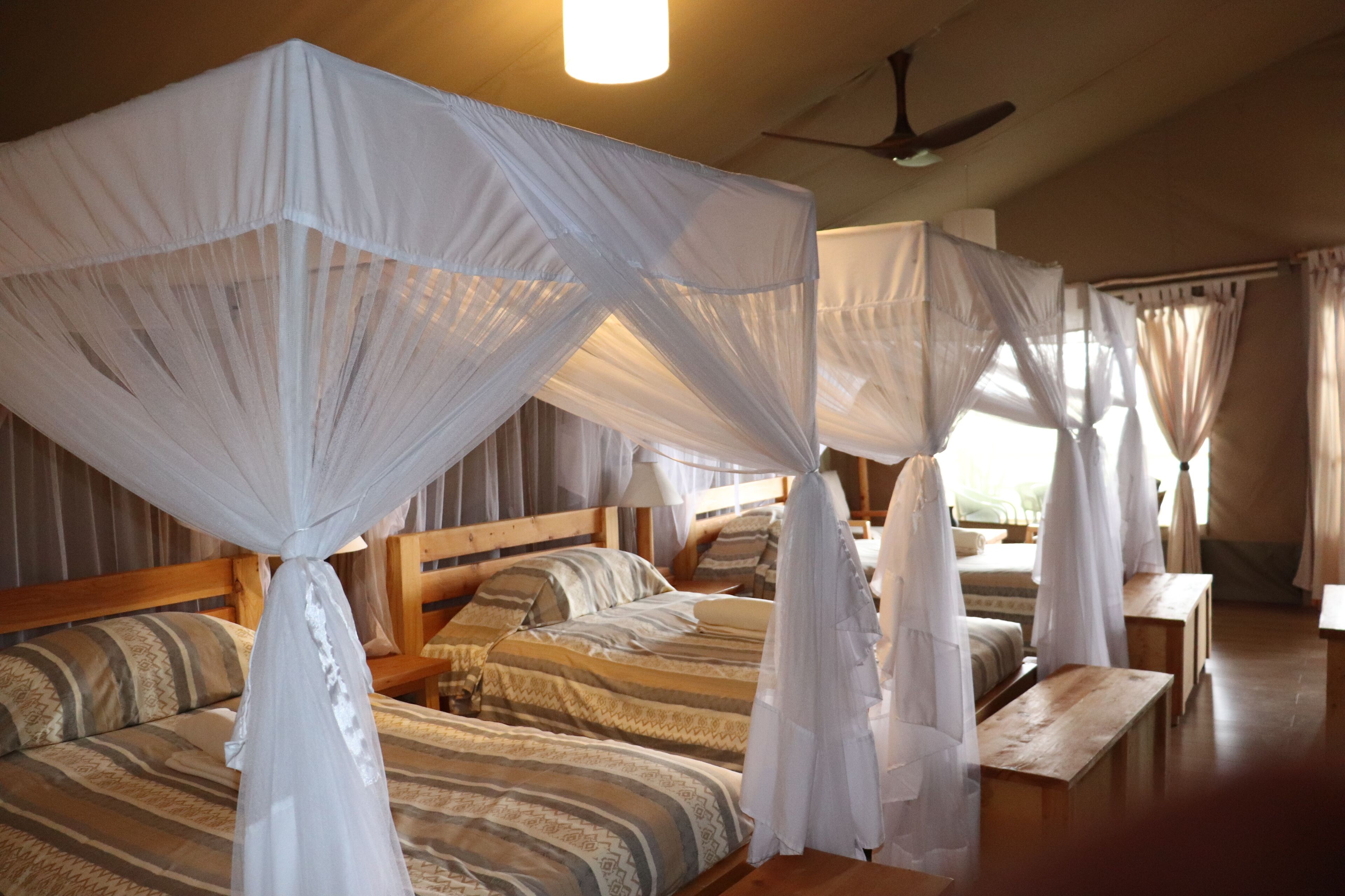 Ein Zimmer mit vier Betten, jedes mit Baldachinvorhang und Holz-Kopfteil.