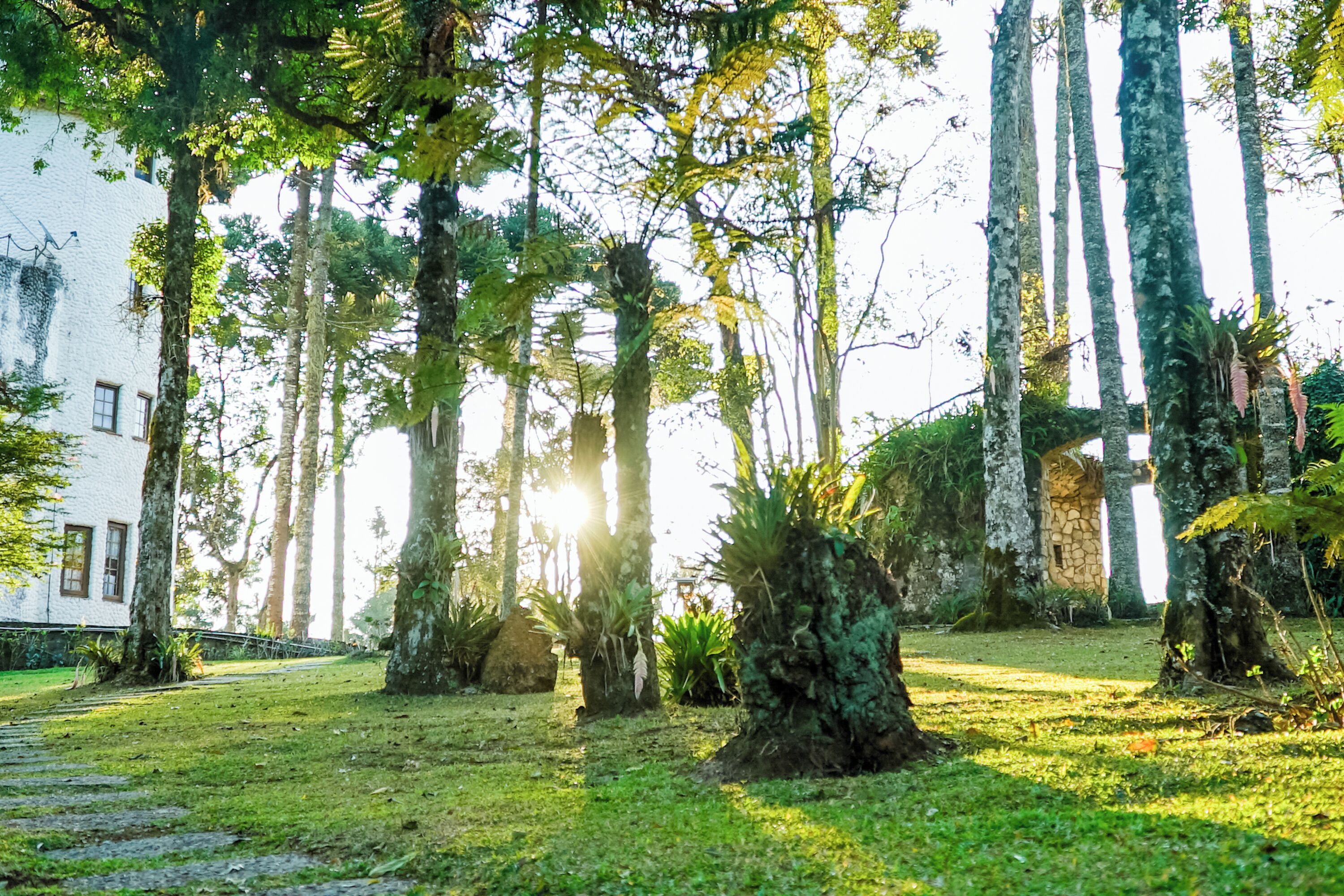 Foto - VELINN Pousada Torre Branca