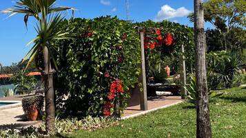 A garden with a pathway, palm trees, and a tall communication tower.