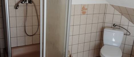 Une salle de bain avec une douche, des toilettes et un carrelage au sol.
