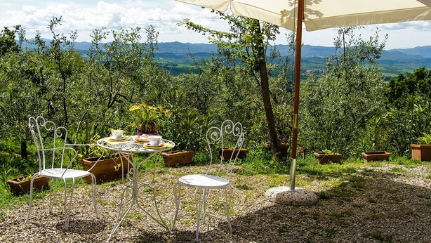 Uma área externa com mesas e cadeiras, cercada por plantas em vasos e vista para montanhas ao longe.