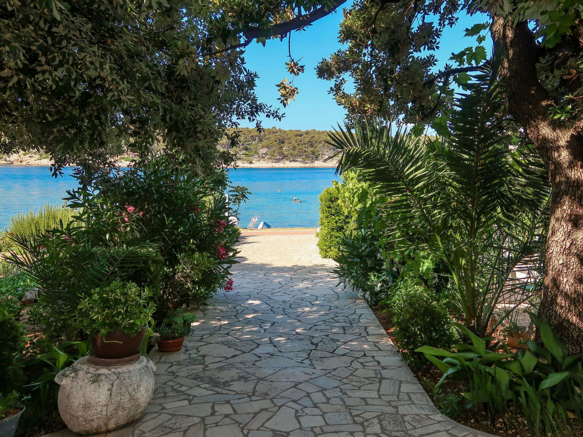 Un sentier de pierres mène à une plage bordée d’une eau d’un bleu limpide, entourée d’une végétation luxuriante et de plantes en pot.