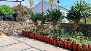 Un espace extérieur abrité, agrémenté de plantes en pot, d’un mur de pierre et d’un bâtiment visible au loin.