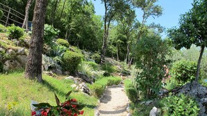 Un sentier de gravier bordé d’une végétation luxuriante et de rochers.