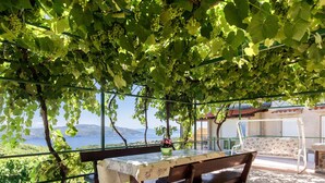 Eine Bank unter Weinreben mit Blick auf Meer und Berge.