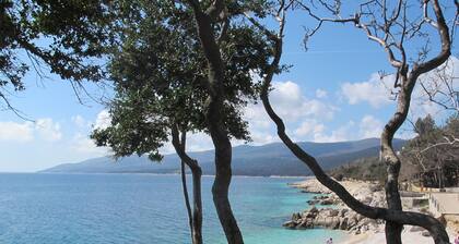 Ferienwohnung Palma by Interhome