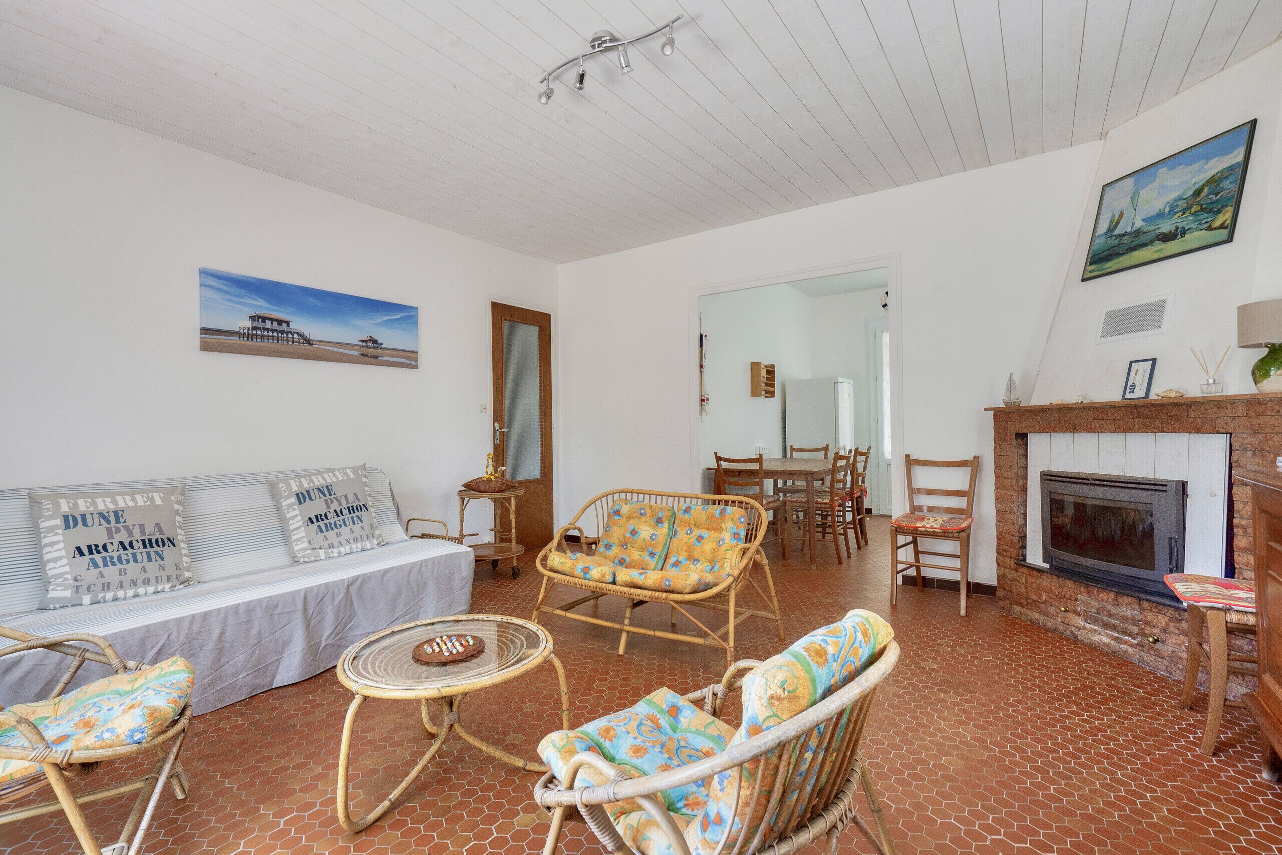 電視、DVD 播放機