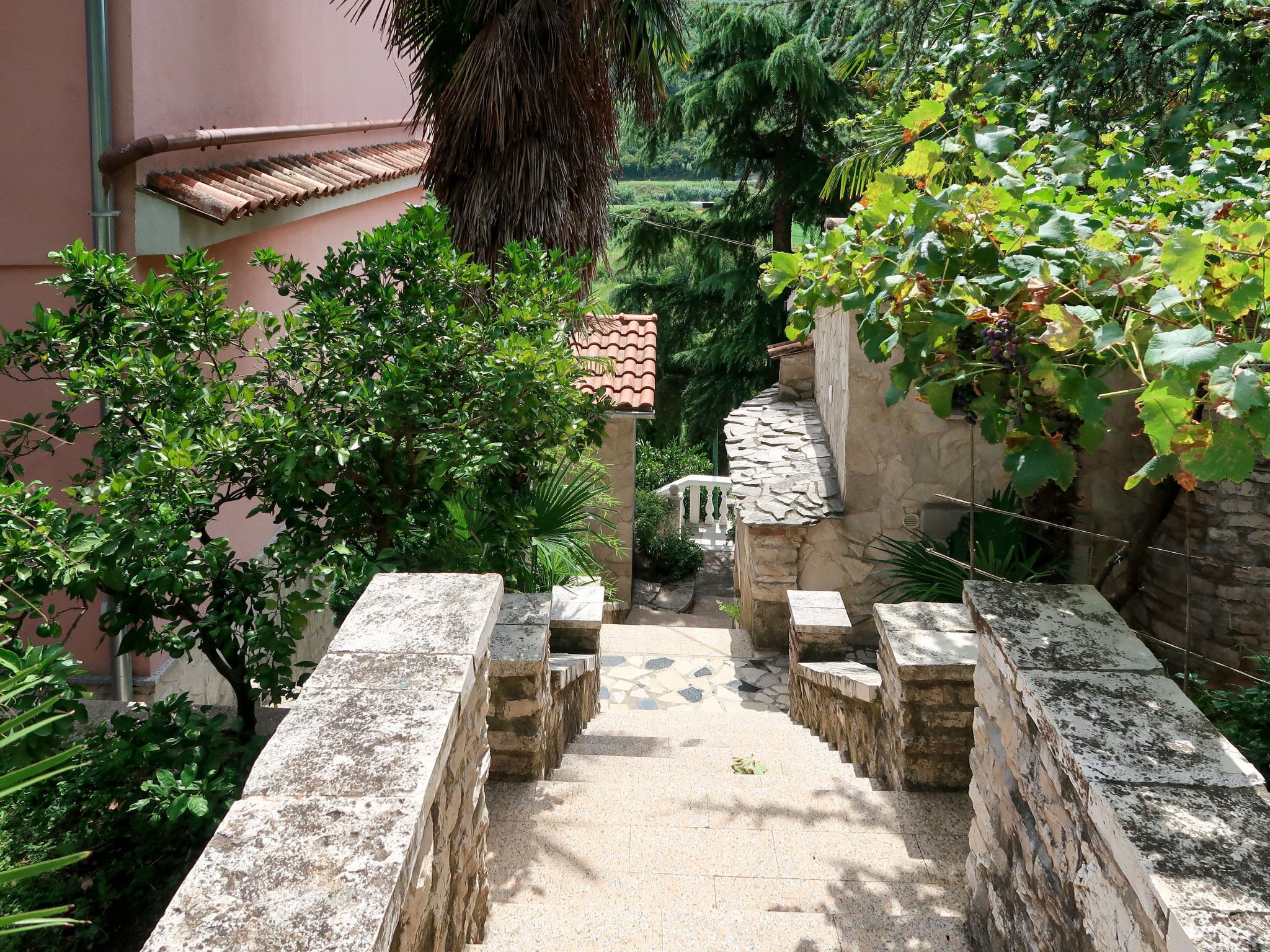 Una escala de pedra que condueix a un pati amb paviment de rajoles, envoltat de vegetació exuberant i un mur de pedra.