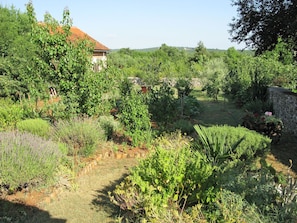 Stroll through the serene garden, surrounded by a variety of plants and shrubs, with a building in the background.