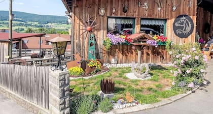 Drexler by Interhome