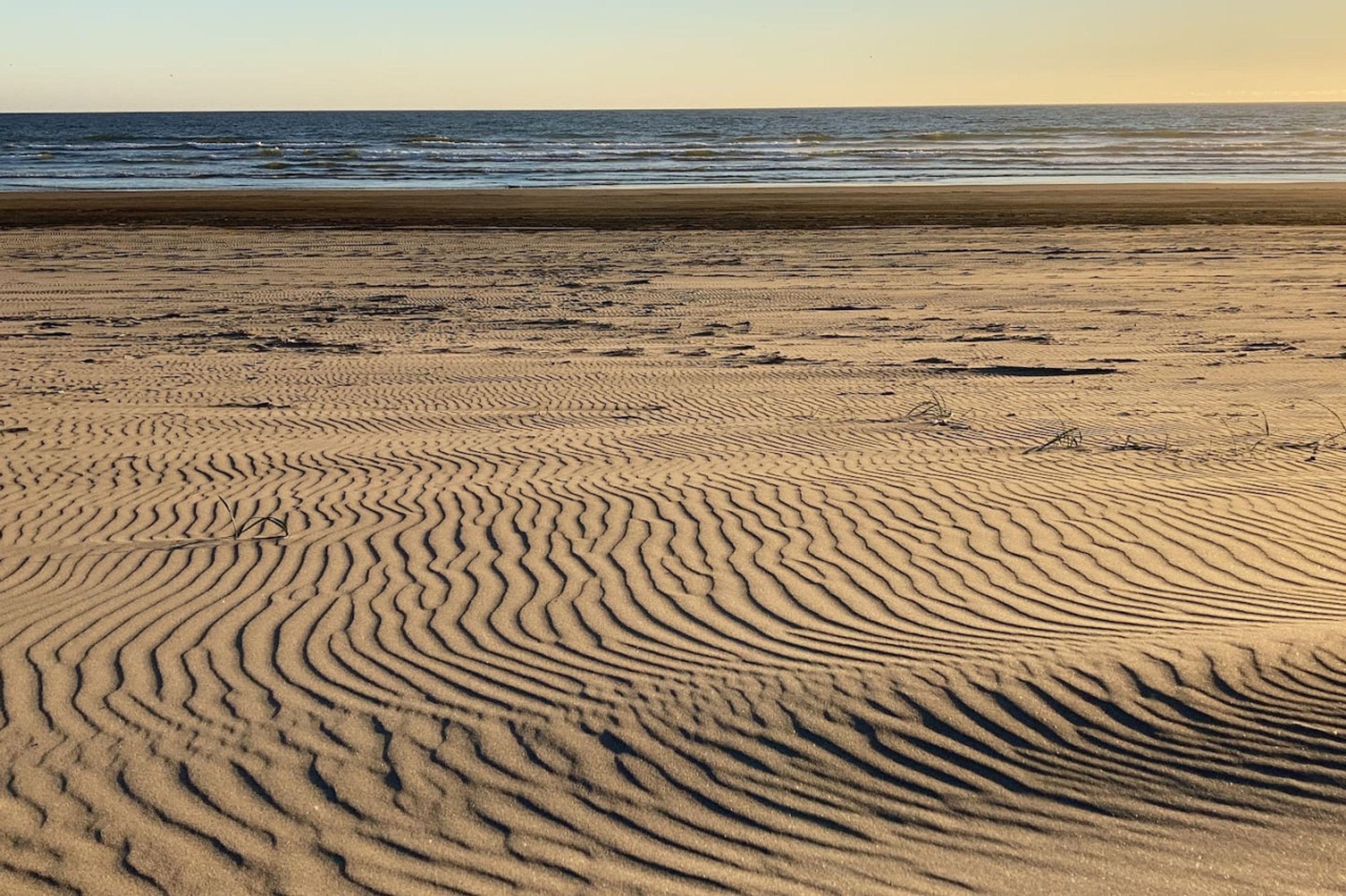 Nhà | 5 phòng ngủ 