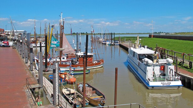 Un puerto deportivo con barcos amarrados, un puente y un área verde al fondo.