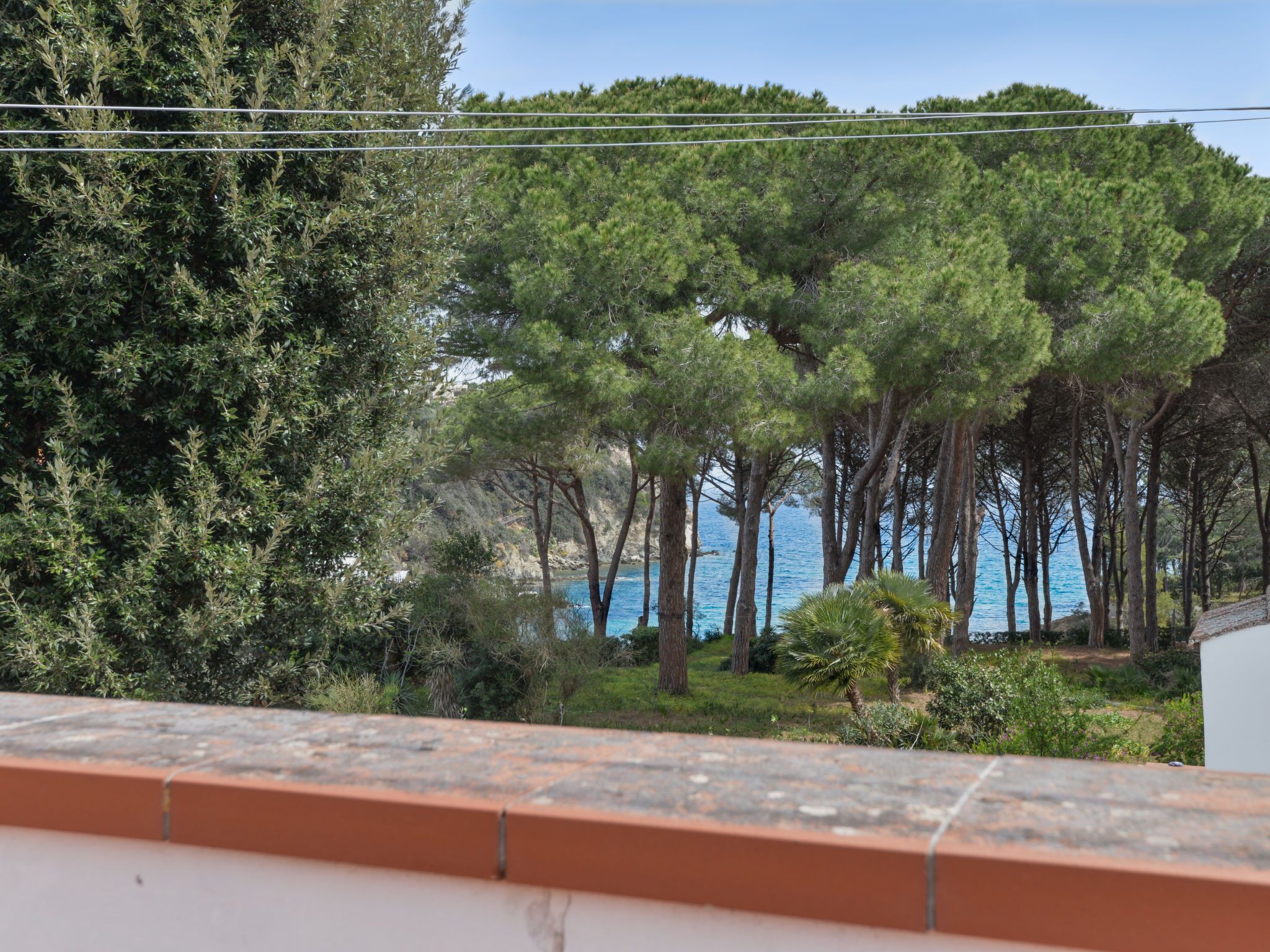 A coastal view with dense greenery and a clear blue sea.
