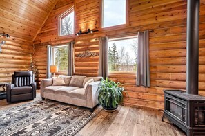 Smart TV, chimenea, libros