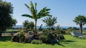 A garden with a banana tree, rocks, and a palm tree.