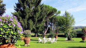 A garden with a table and chairs, surrounded by large potted plants and trees. - Vacation home Laura by Interhome (Poppi)