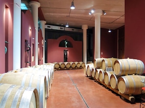 Explore the wine cellar with rows of barrels on wooden pallets, a red-tiled floor, and an arched doorway.