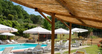 Vigna La Corte by Interhome