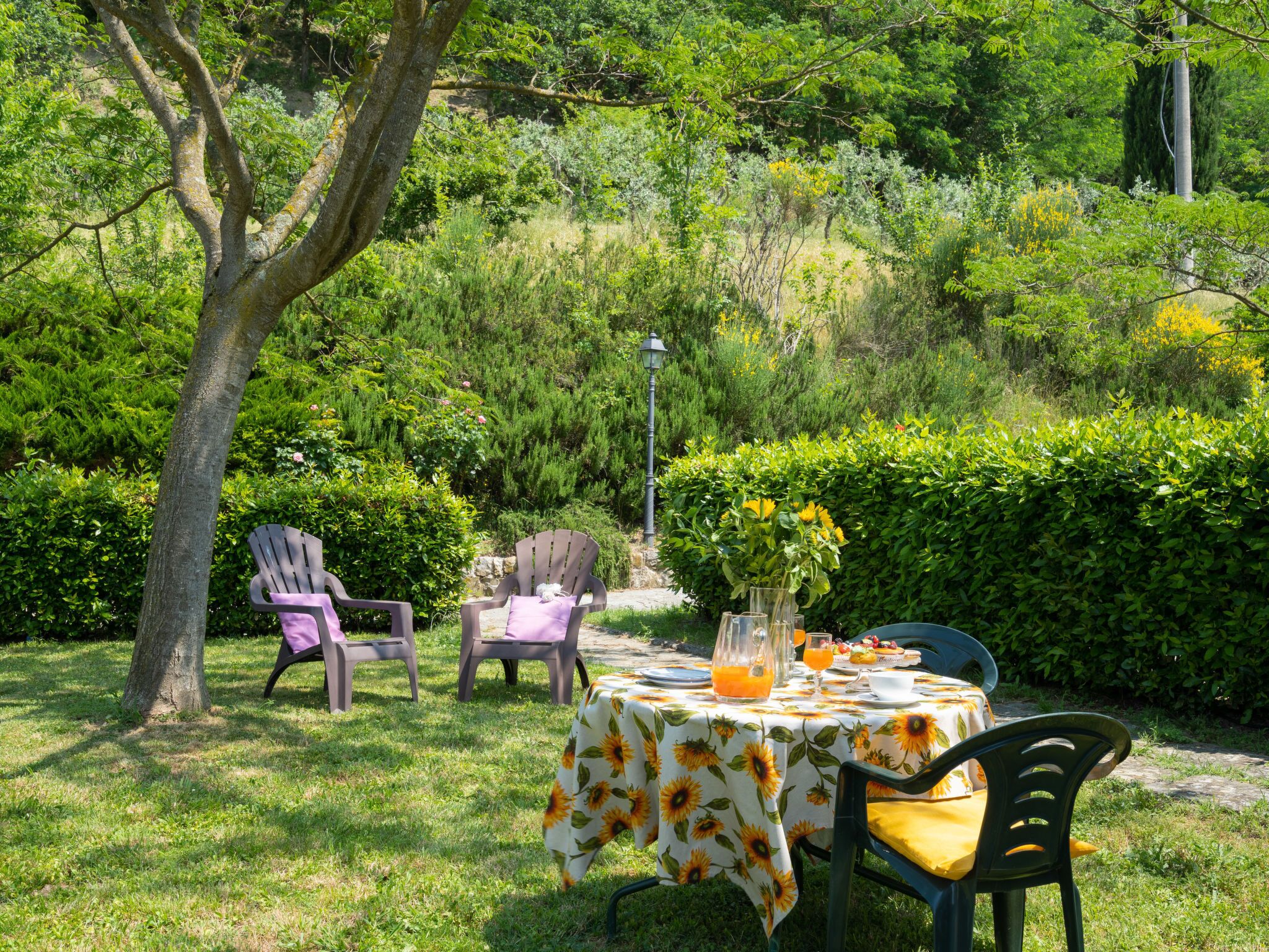 An outdoor dining area with a table set for two, surrounded by greenery and trees.