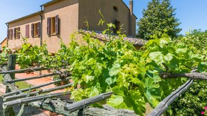 Un bâtiment doté d’un toit en pente et d’une cheminée, entouré de vignes et d’une clôture en bois.
