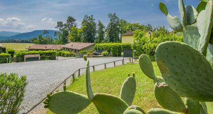 Vacation home I Pini by Interhome