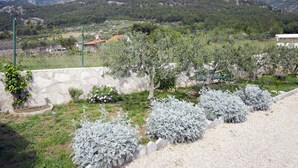 A garden with various shrubs and a stone wall. - Vacation home Lucije by Interhome (Brač/Splitska)
